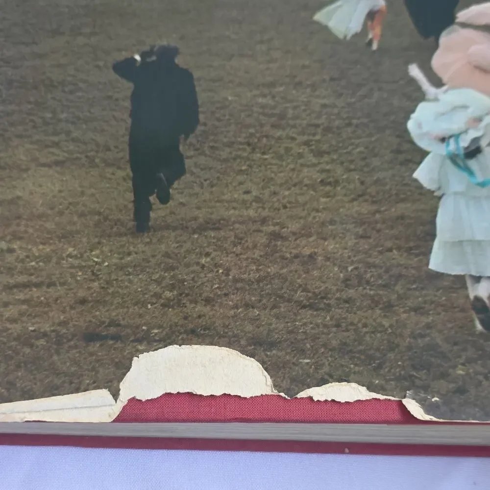 Taschen Fellini's Films Hardcover Illustrated Picture Book Film Nonfiction